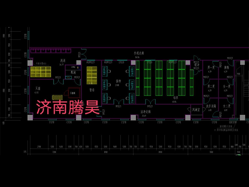 小黄片在线播放  小黄片在线播放室