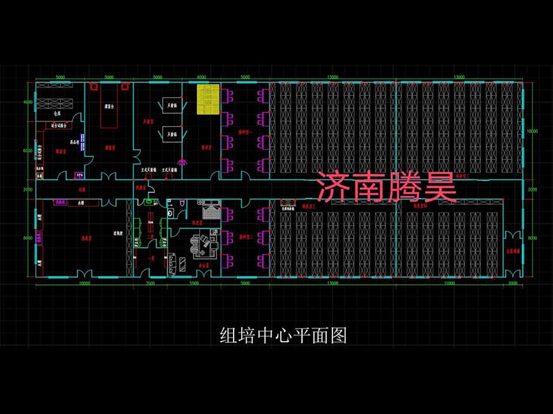 小黄片在线播放  小黄片在线播放室