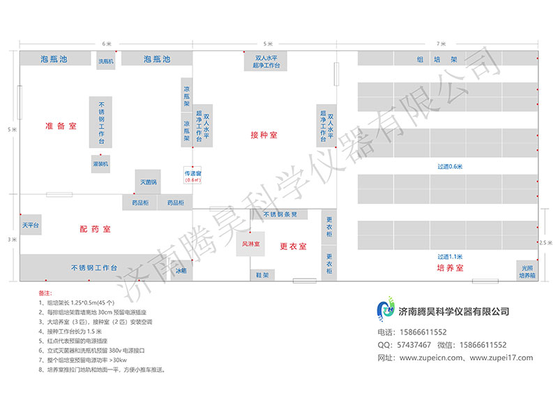 小黄片在线播放