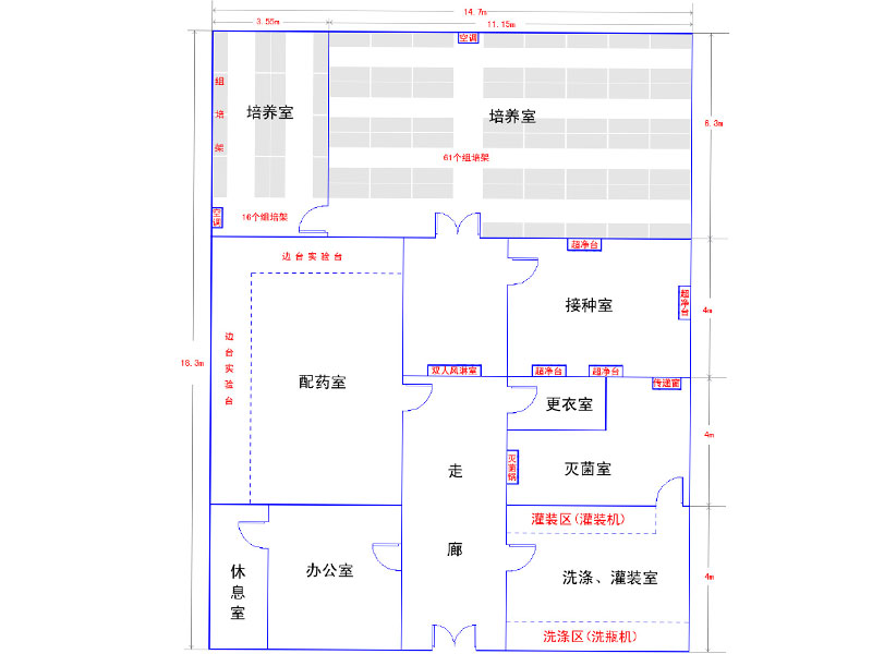 小黄片在线播放