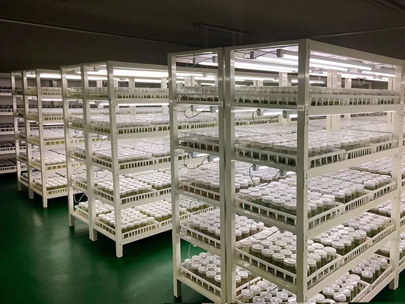 小黄片在线播放  小黄片在线播放架