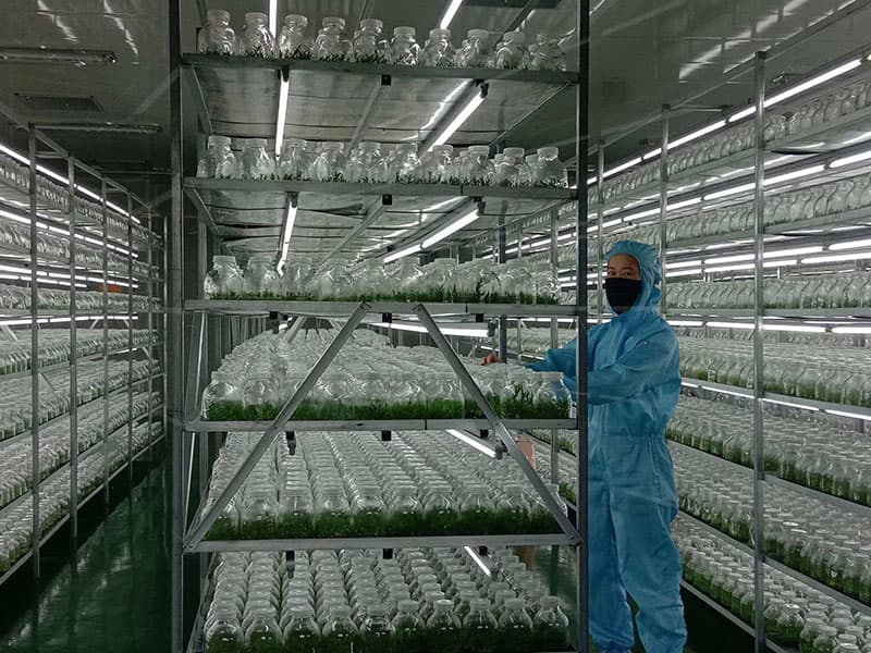 小黄片在线播放  小黄片在线播放架