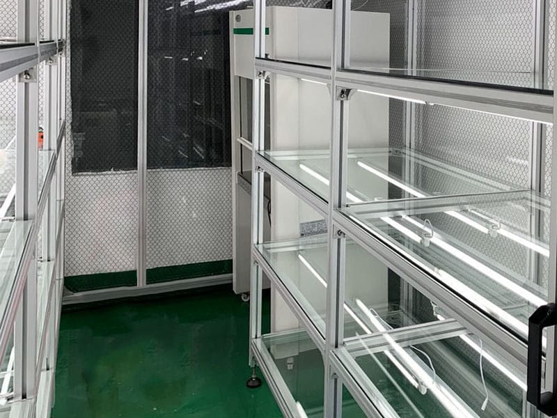 小黄片在线播放  小黄片在线播放架