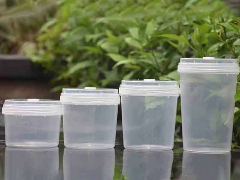 小黄片在线播放  小黄片在线播放瓶